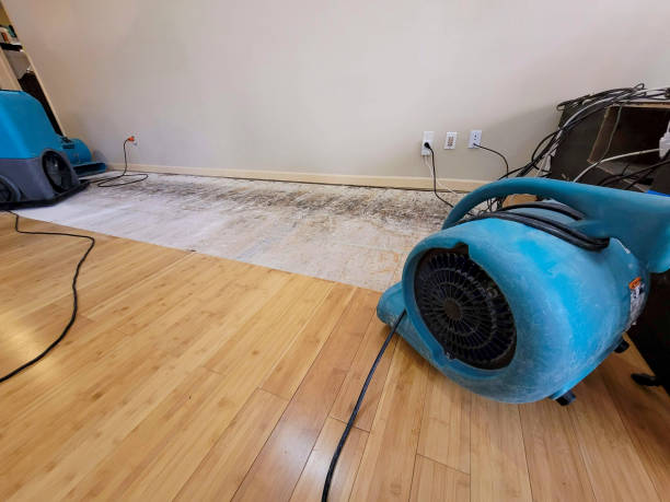 Professional Flood Damage Cleanup technician working in Solon, ME